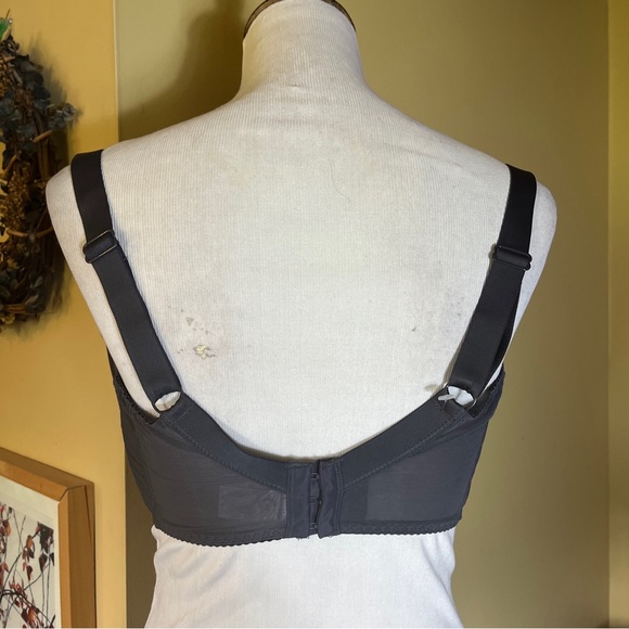 FLIRTELLE Size 36N Gray Bra Feminine Lace Underwire Sexy Lingerie Stretch $84NEW - Picture 4 of 15